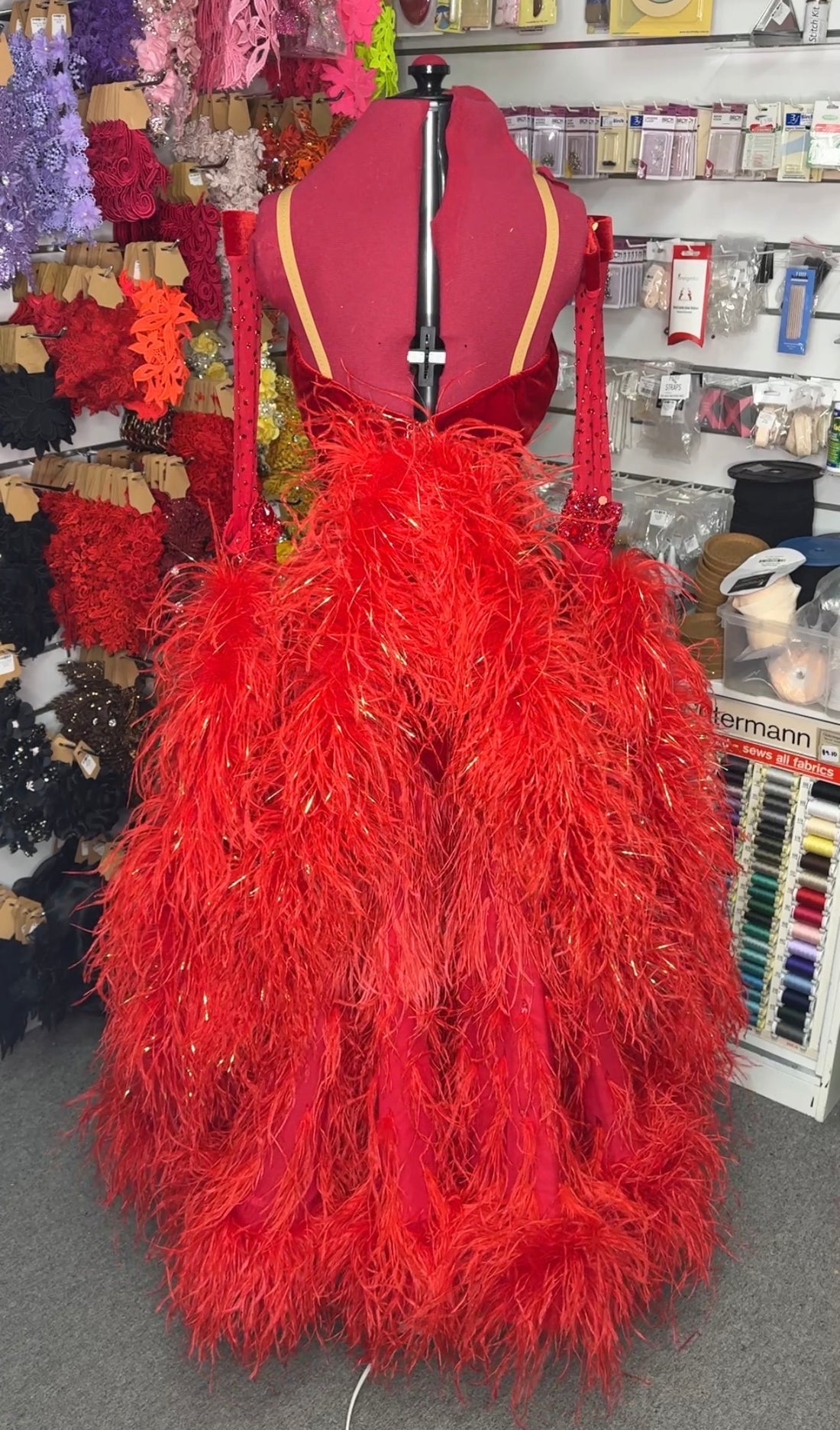 BRAND NEW RED FEATHER BALLROOM DRESS (Size 4-6)