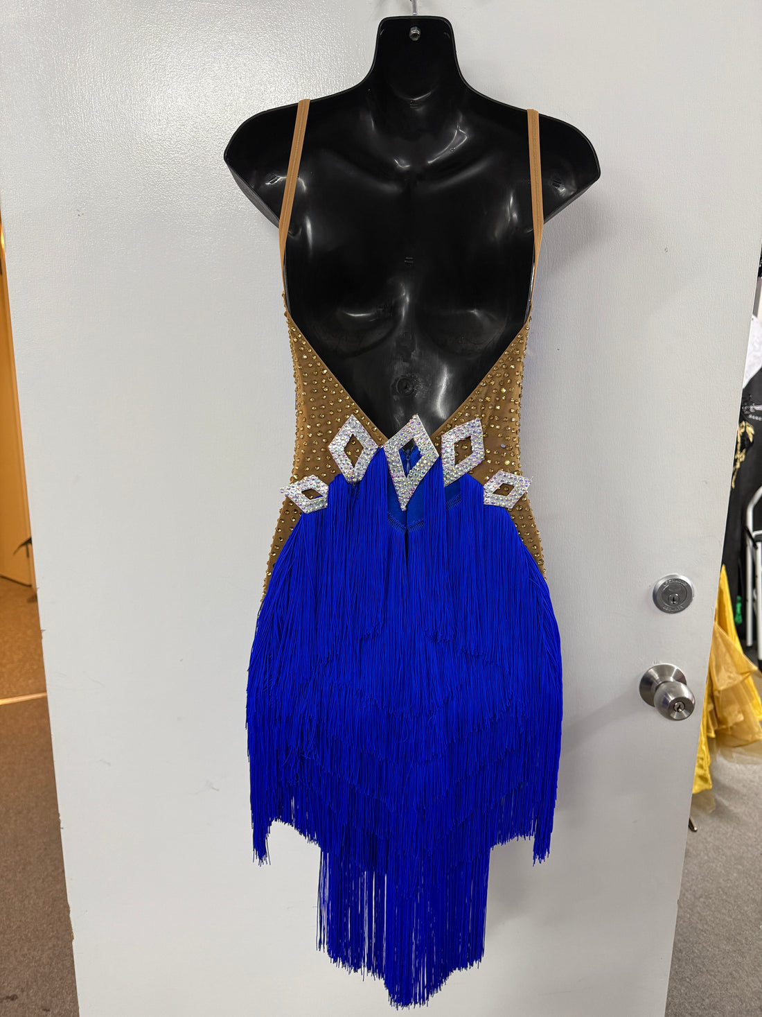 Blue Fringe Latin Dress (Size 10-12)