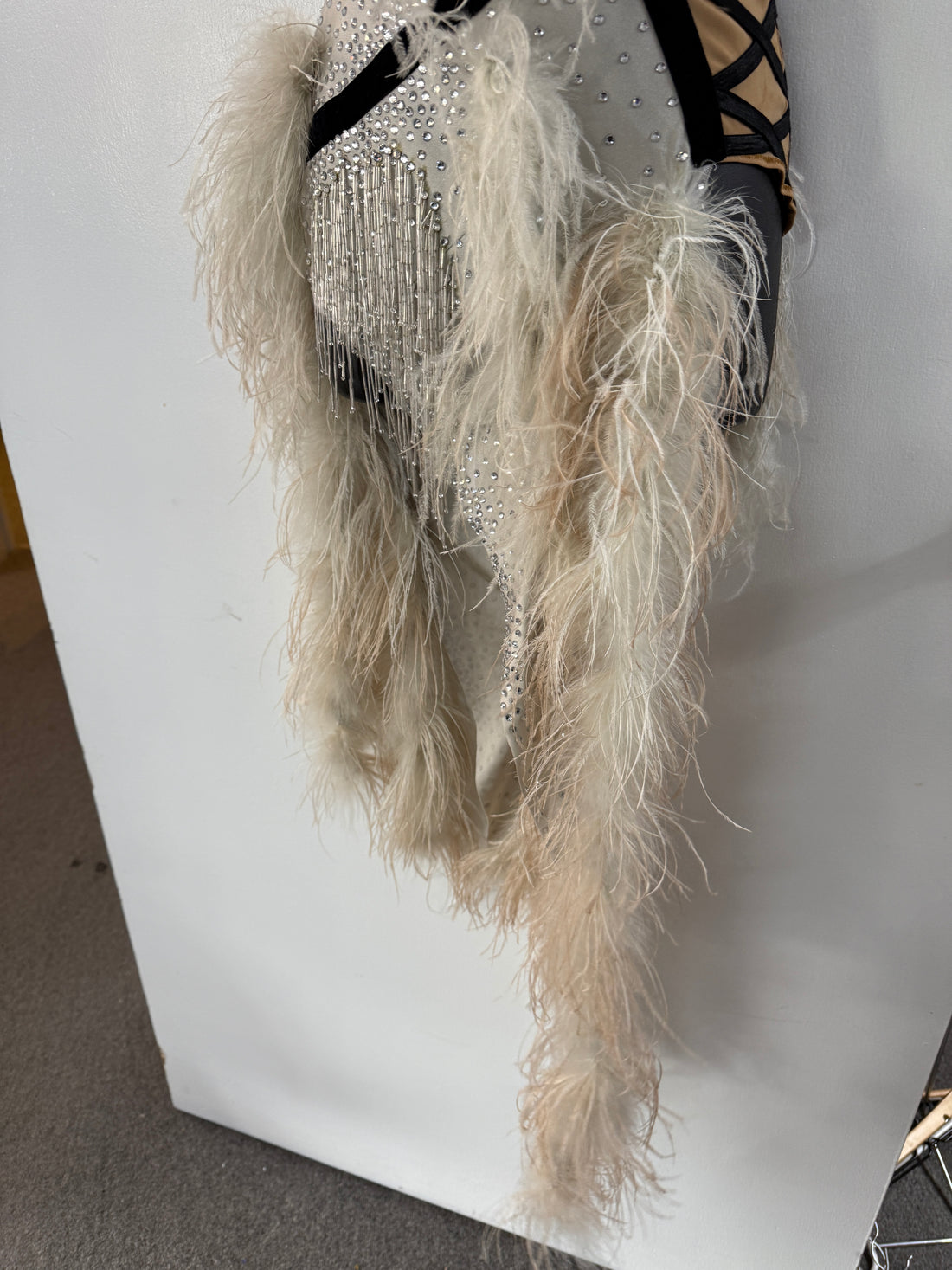 Pre Loved Sliver Feather Latin Dress (Size 4-8)