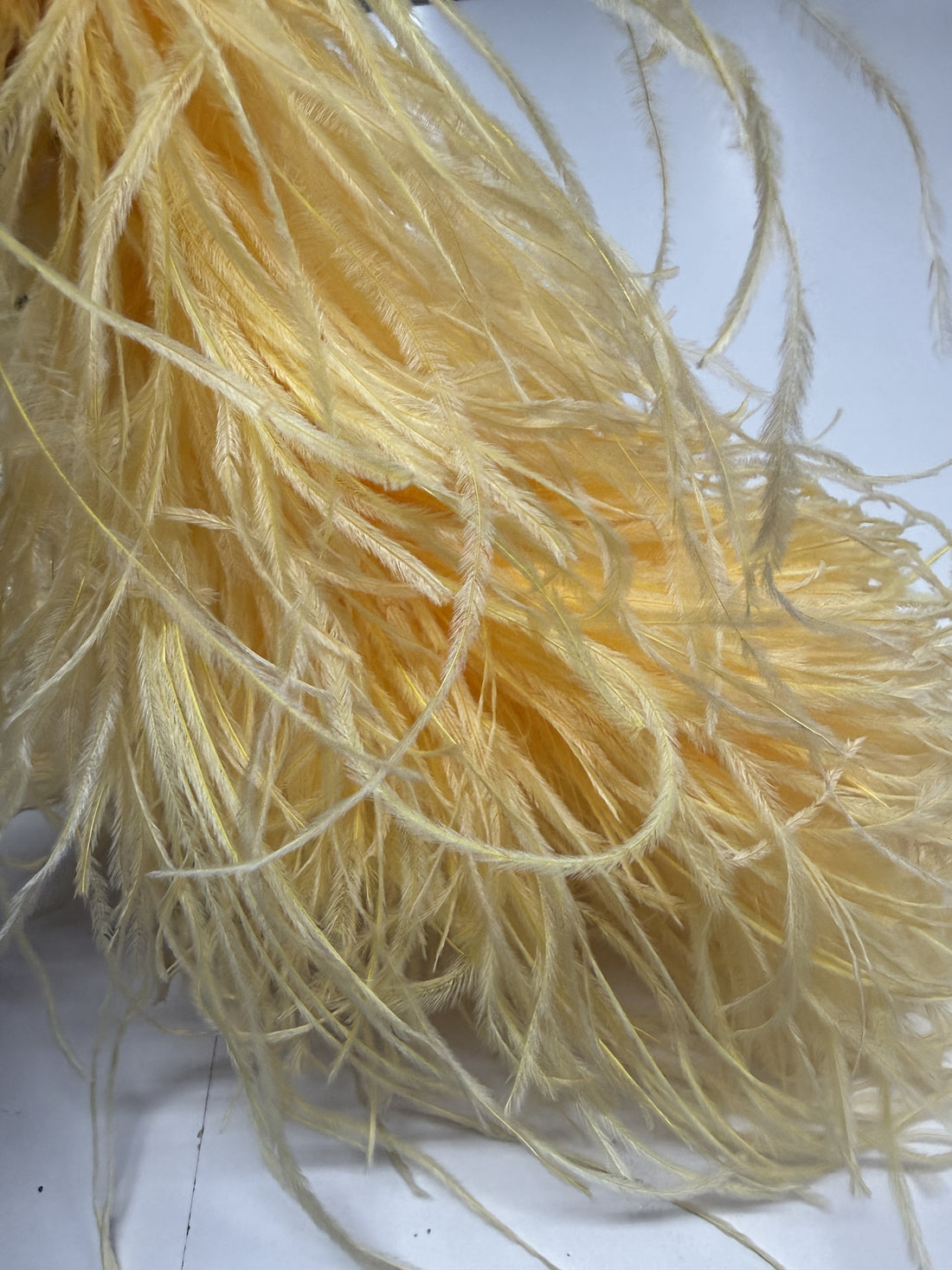 Saffron Ostrich Feather Boa 6 Ply - 58cm Piece