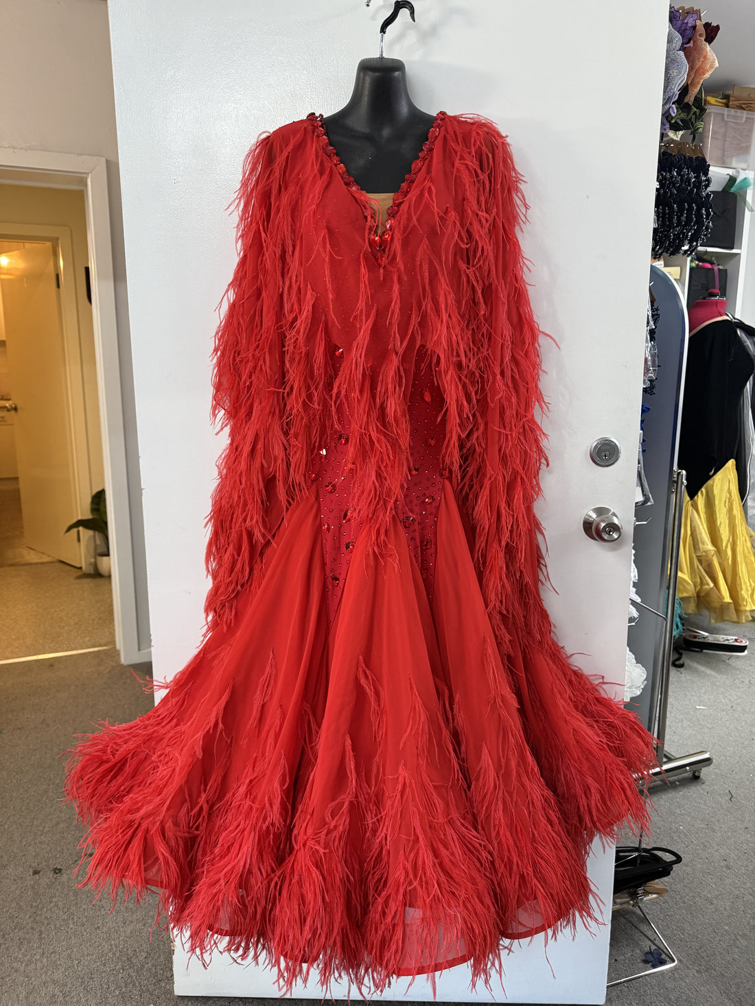 Pre Love TID Red Feather Ballroom Dress (Size 10-12)