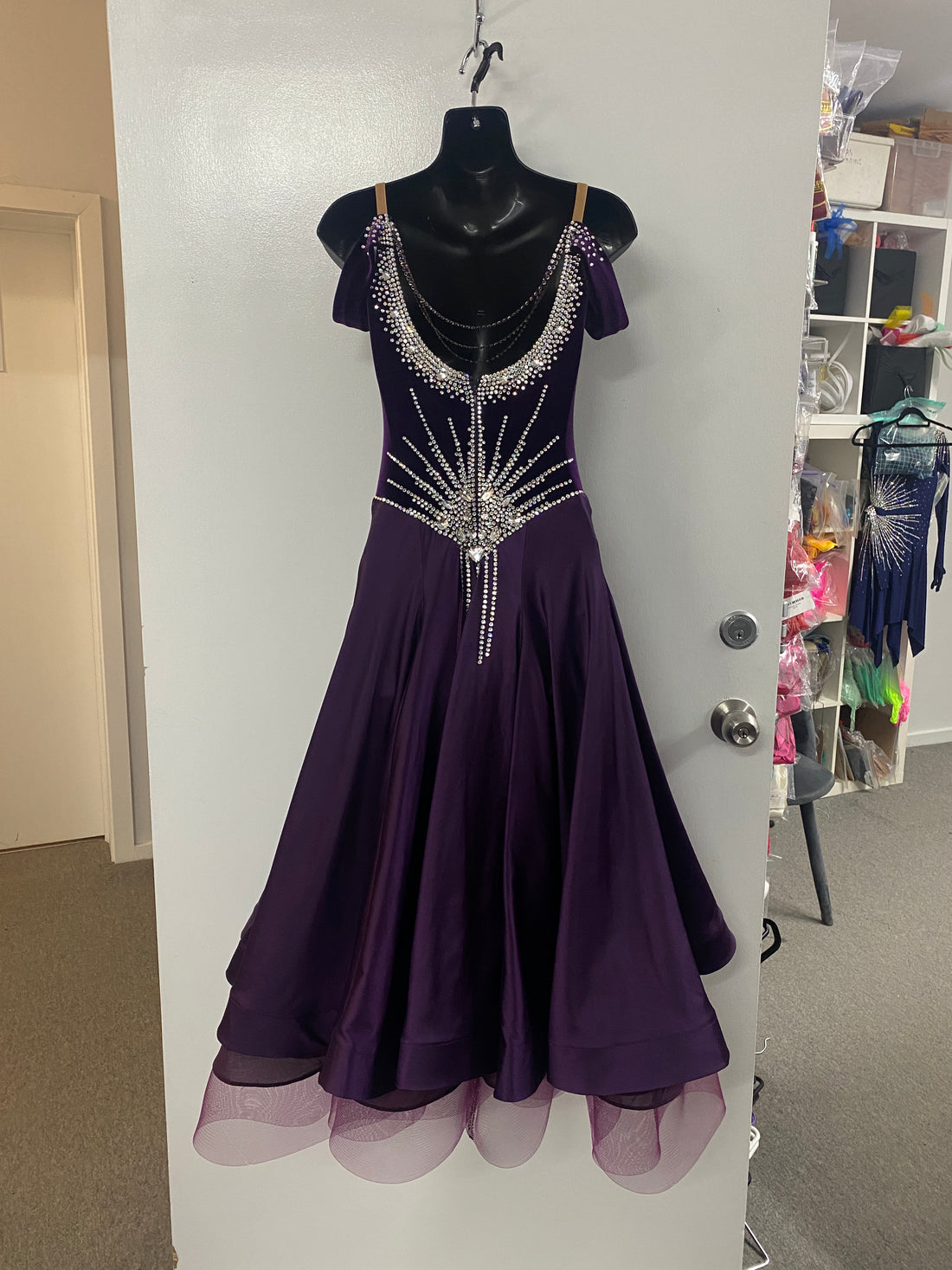 Pre Loved Plum Ballroom Dress (Size 6-8)
