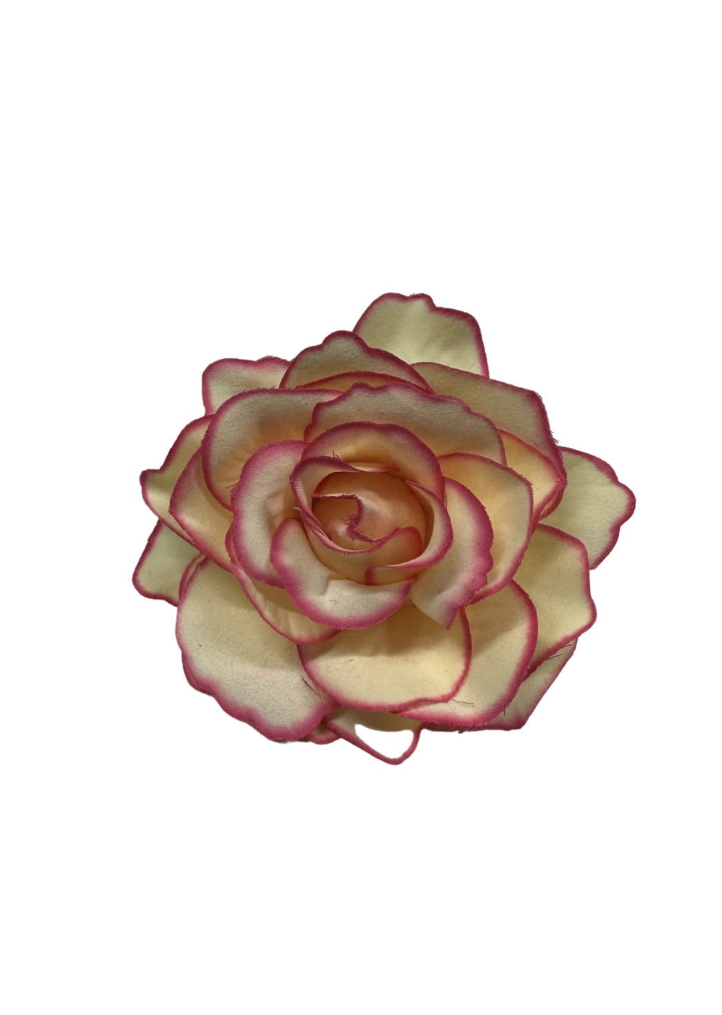 Cream Rose with Pink - Clip