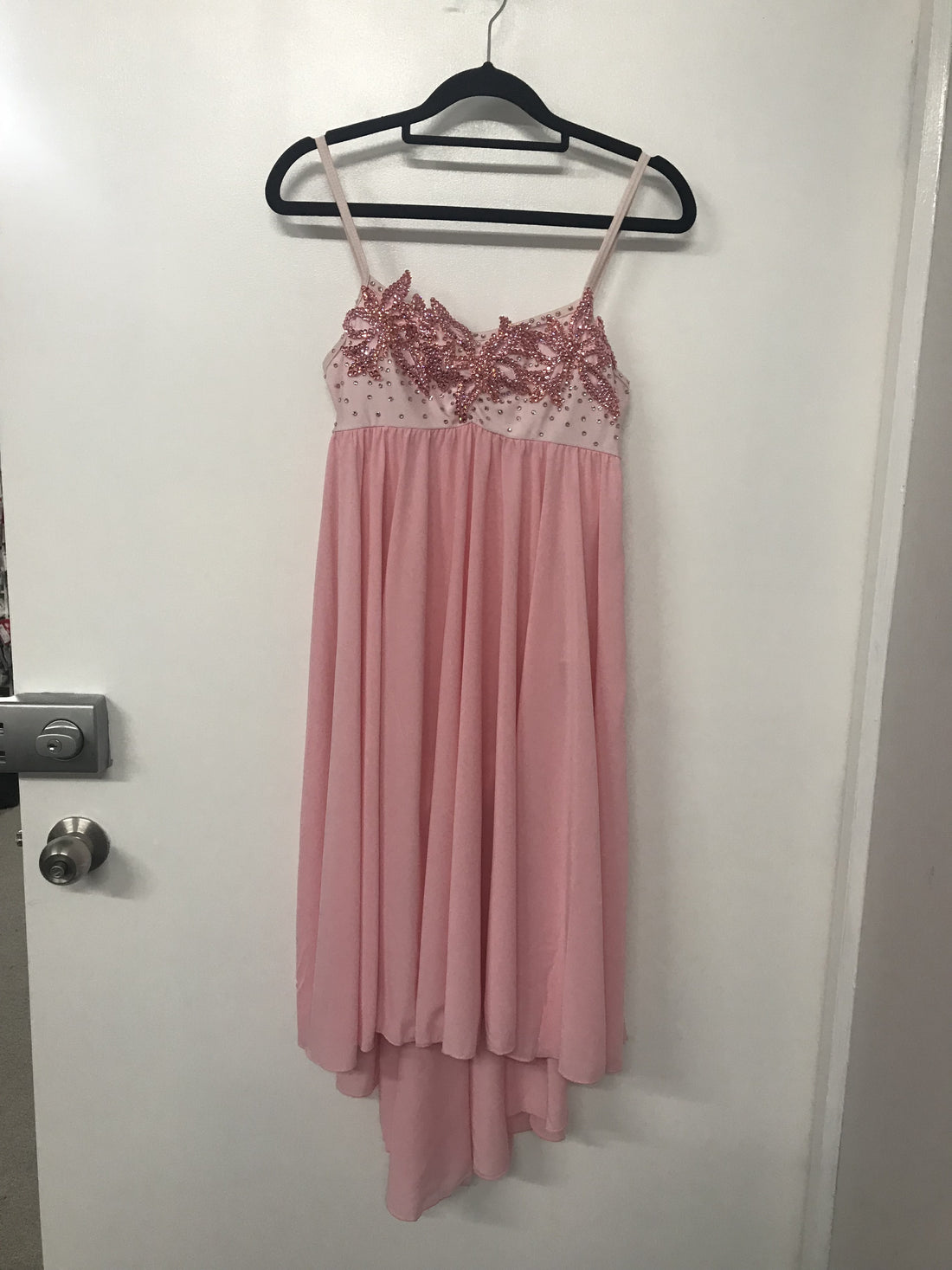 Pale Pink Princess Chiffon Dress (Adult Large)