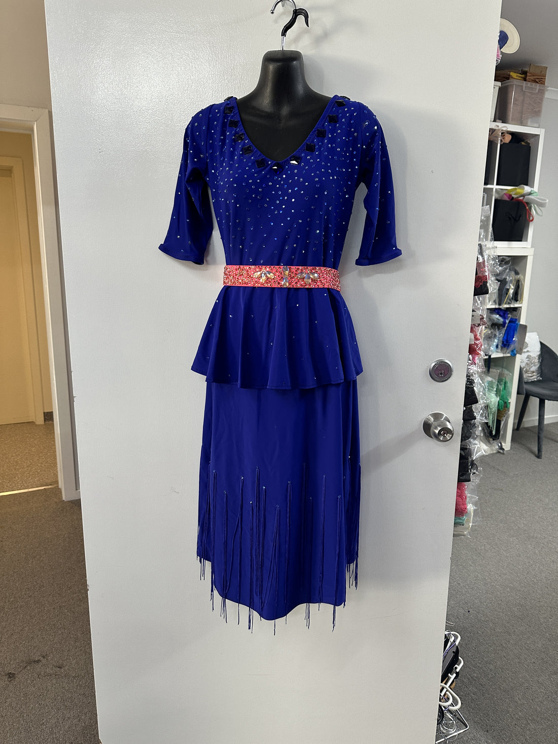 Pre Loved Blueberry & Pink Latin Dress (Size 12-14)